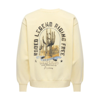 ONLLUCINDA L/S WILD O-NECK...