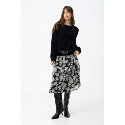 Dalmata_1 Falda Tiffosi