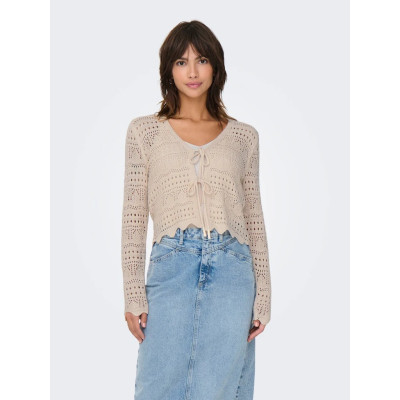 JDYSUN LAY L/S V-NECK...