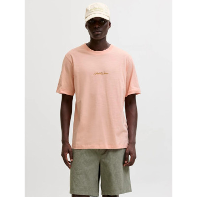 JORCASSIS AOP ELEMENT TEE...